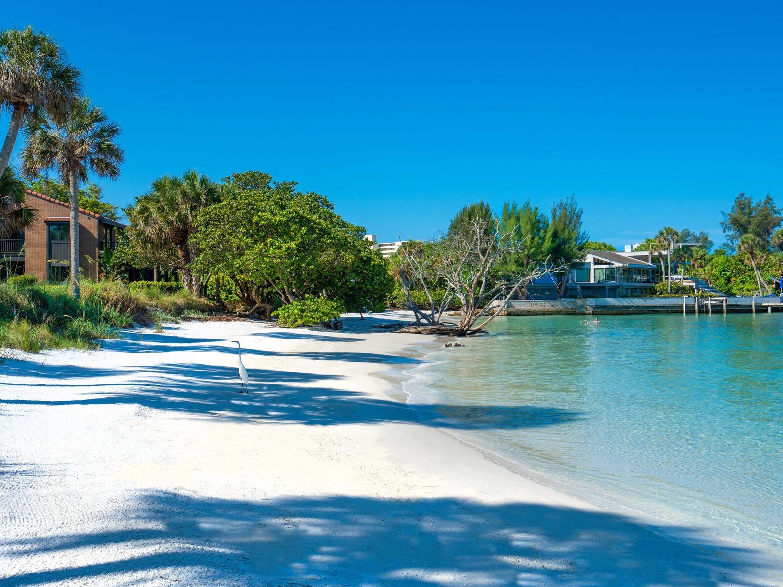 22 Sandy Cove Unit Apt 203, Sarasota, FL 34242