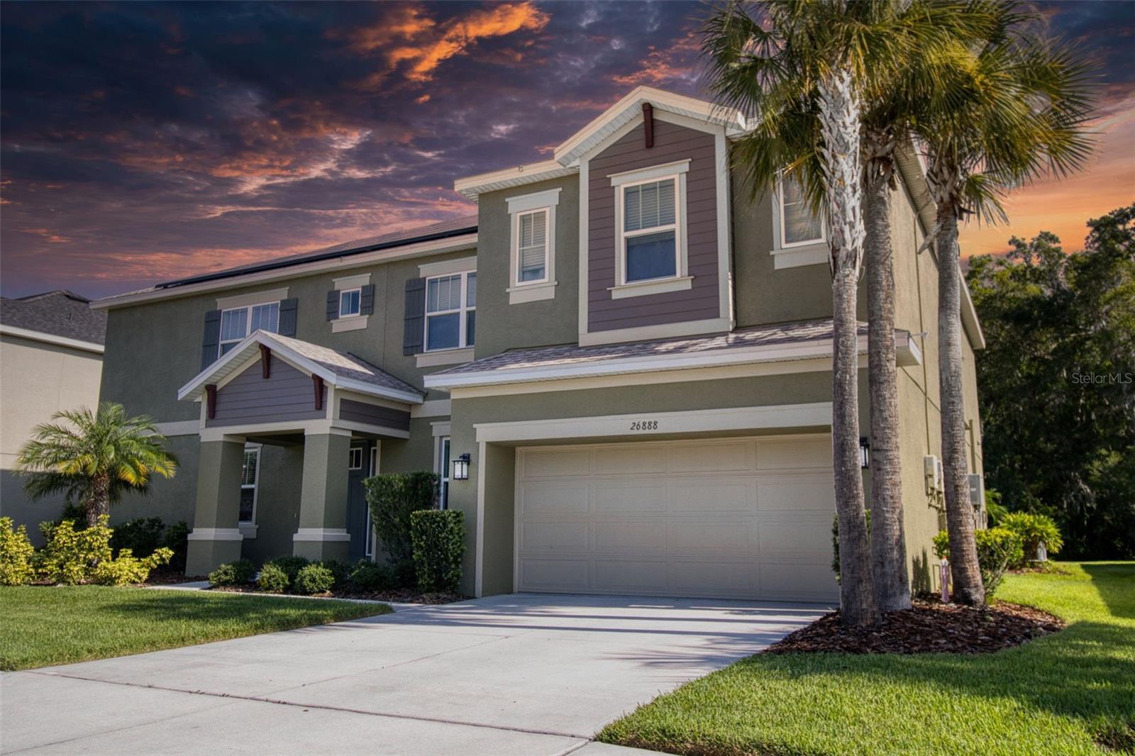 26888 Fiddlewood, Wesley Chapel, FL 33544
