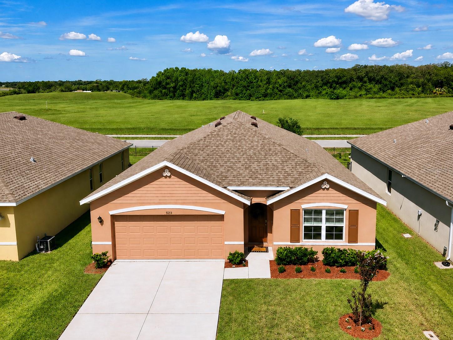 3020 Burrowing Owl, Mims, FL 32754