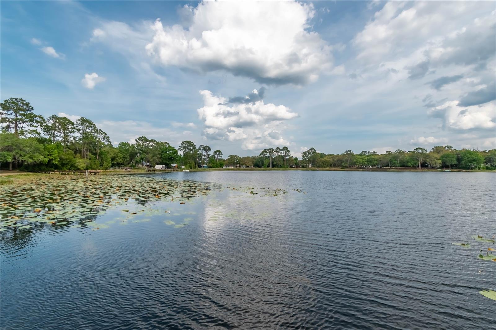 22649, 22645 and TBD 105th Avenue, Fort Mc Coy, FL 32134