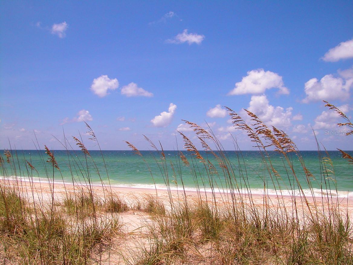 430 Kumquat Unit 204, Sarasota, FL 34236