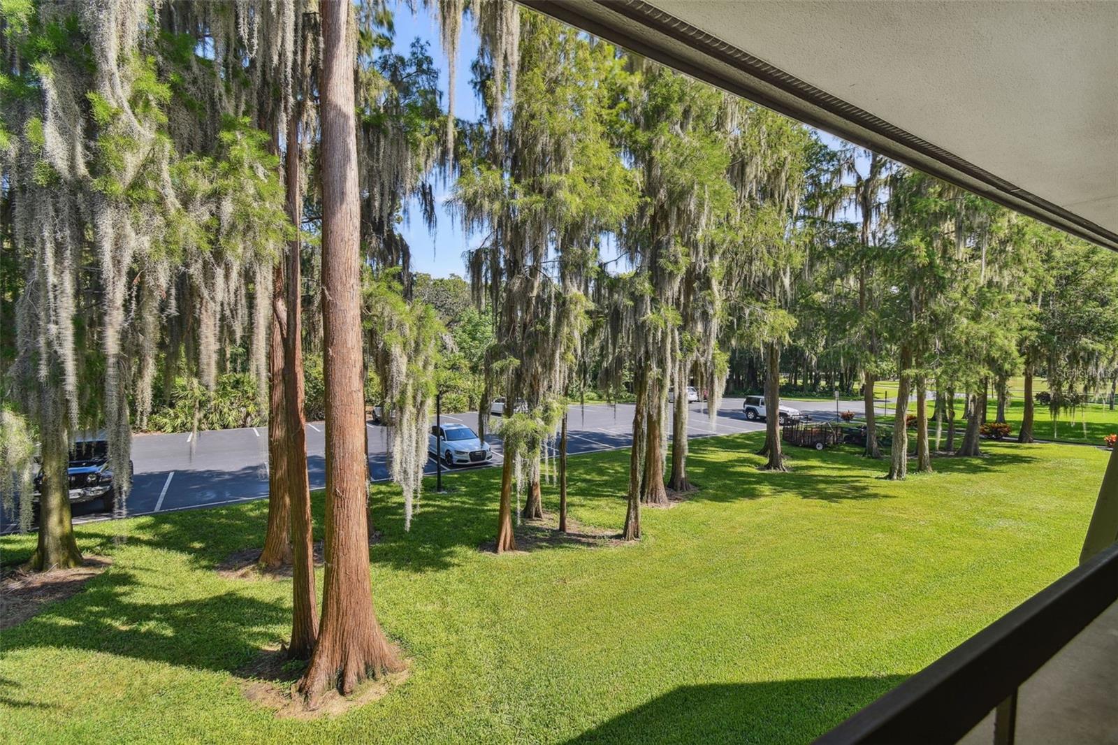 36750 Us Highway 19 Unit 04239, Palm Harbor, FL 34684