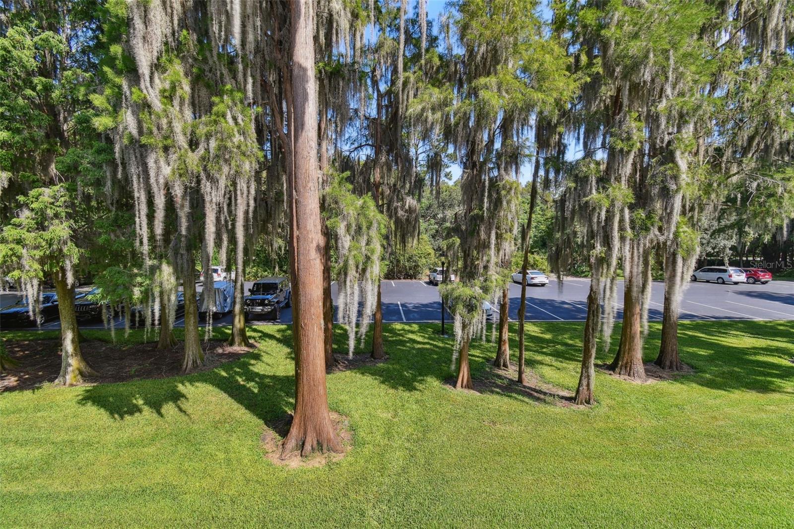 36750 Us Highway 19 Unit 04239, Palm Harbor, FL 34684