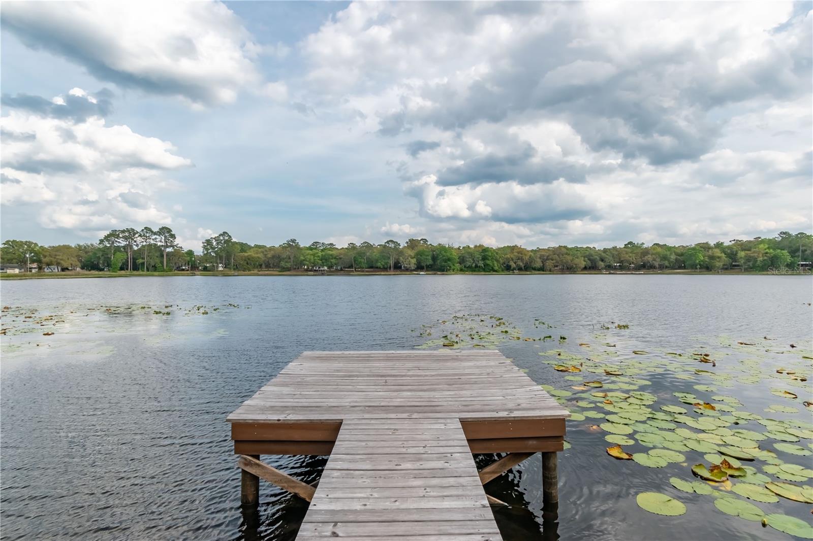 22645 105th Avenue, Fort Mc Coy, FL 32134
