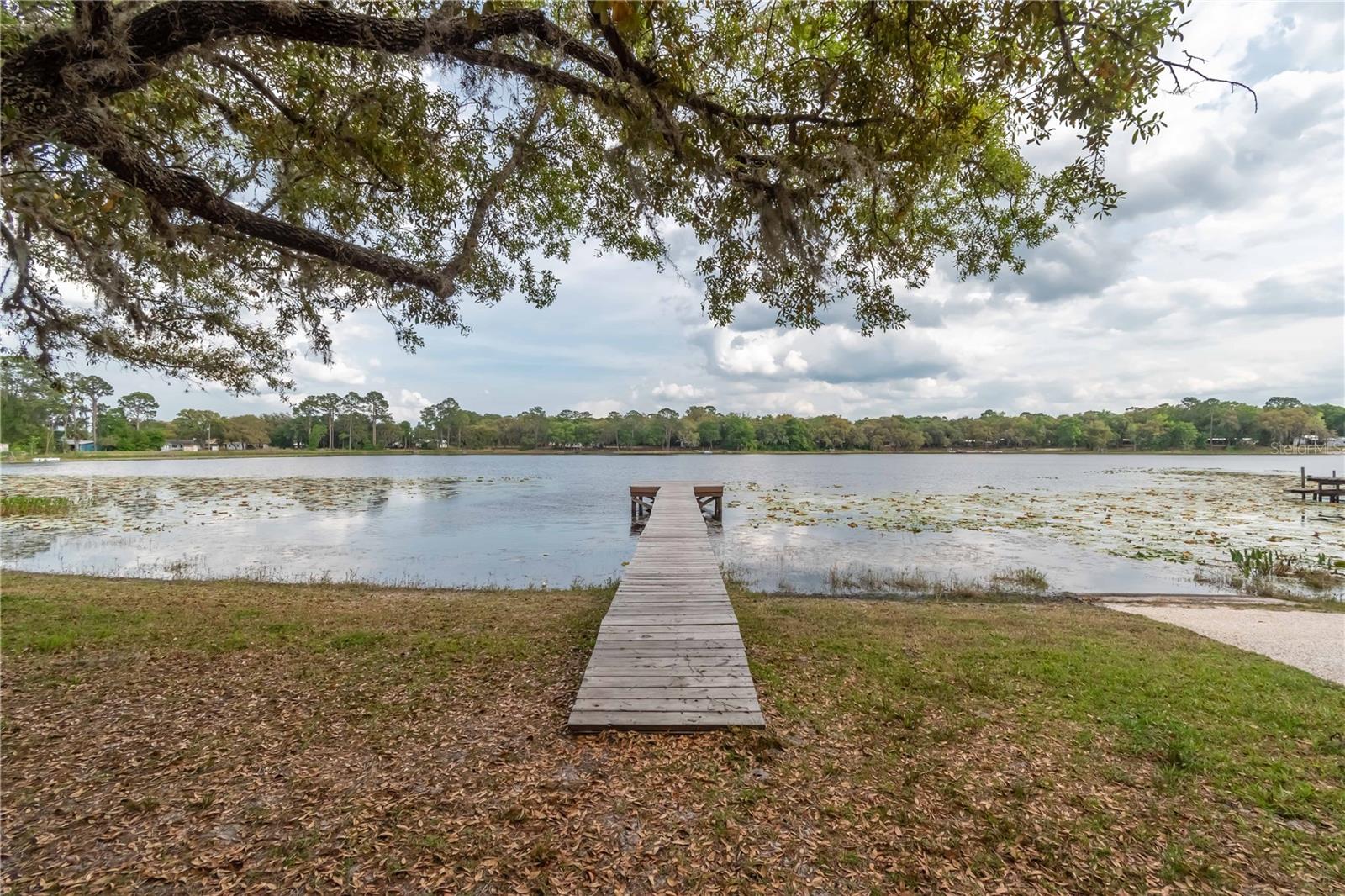 22645 105th Avenue, Fort Mc Coy, FL 32134