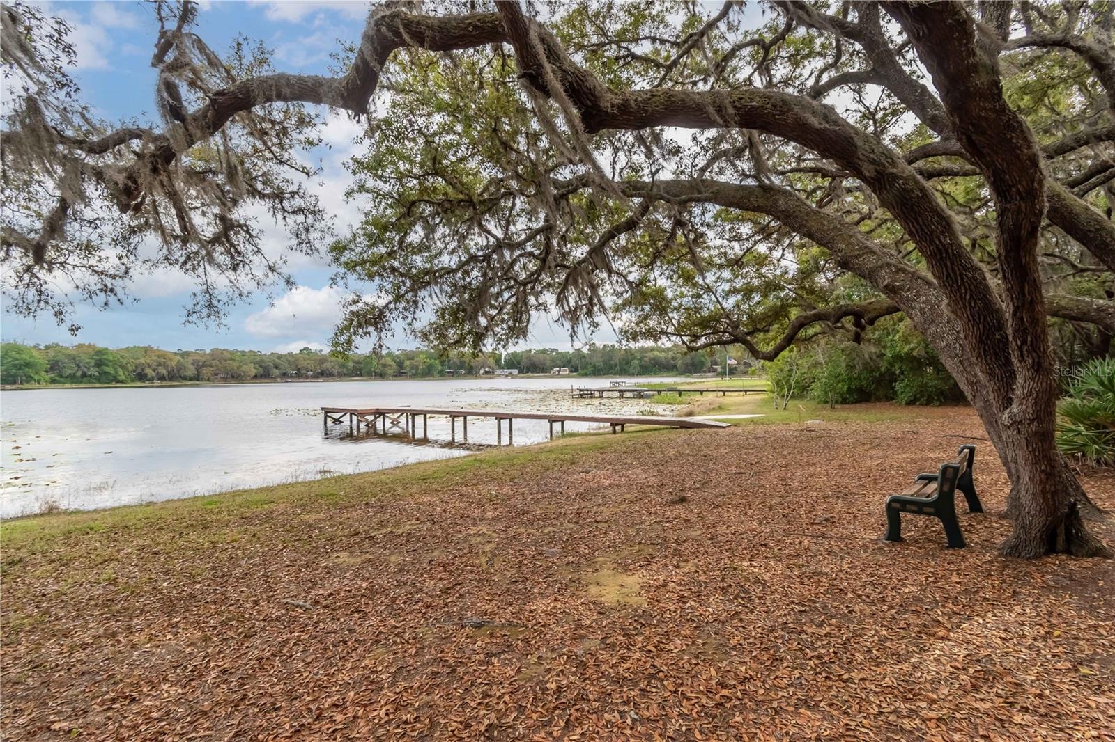 22645 105th Avenue, Fort Mc Coy, FL 32134