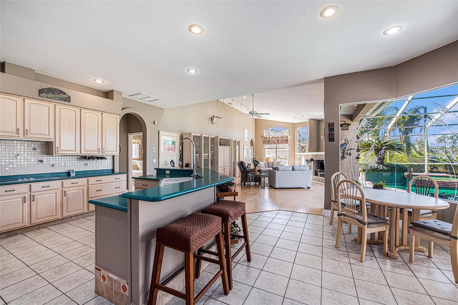 331 Lewis, Lithia, FL 33547