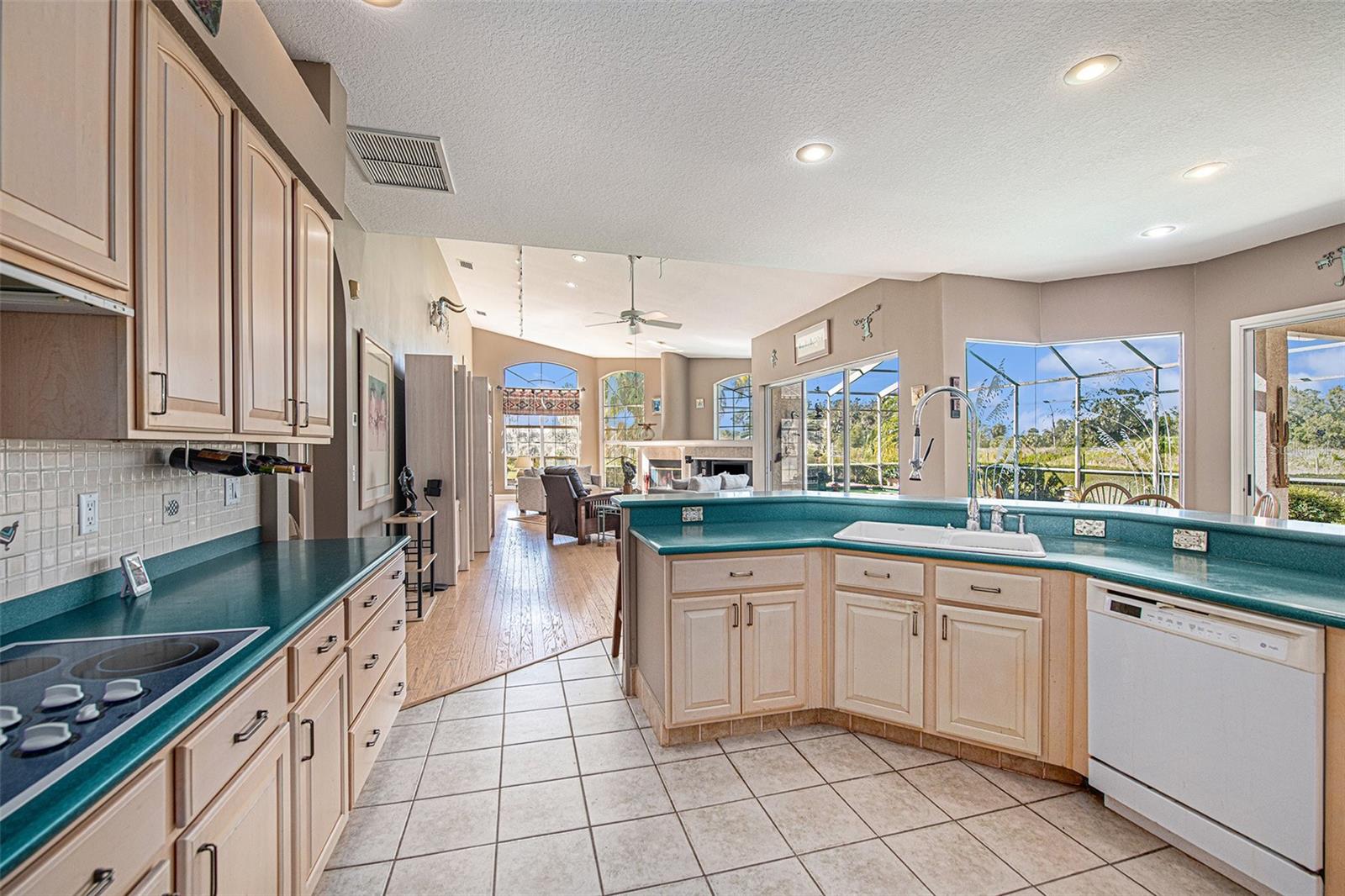 331 Lewis, Lithia, FL 33547