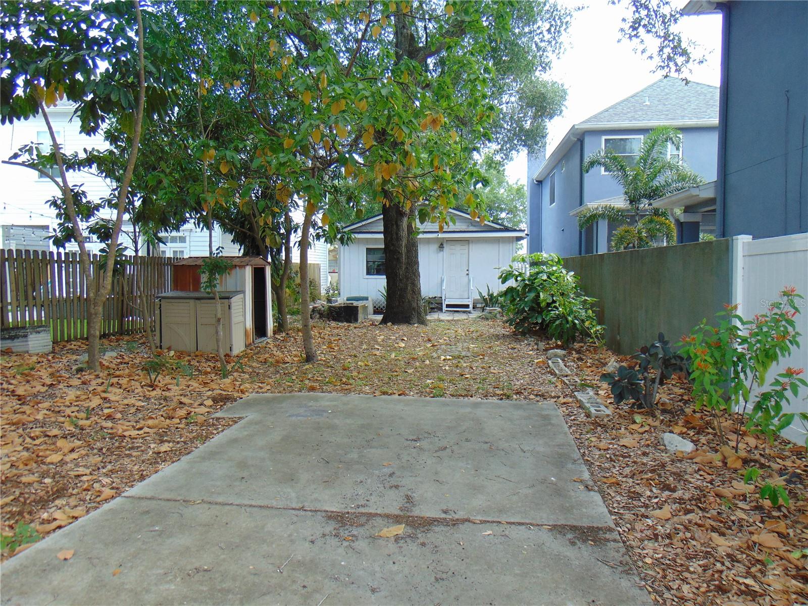 406 Orleans, Tampa, FL 33606