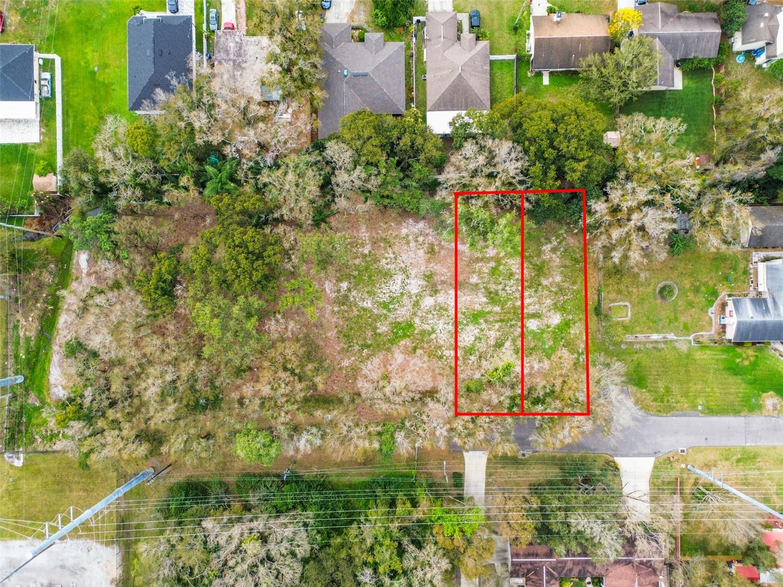 2122 Bird St., Tampa, FL 33604