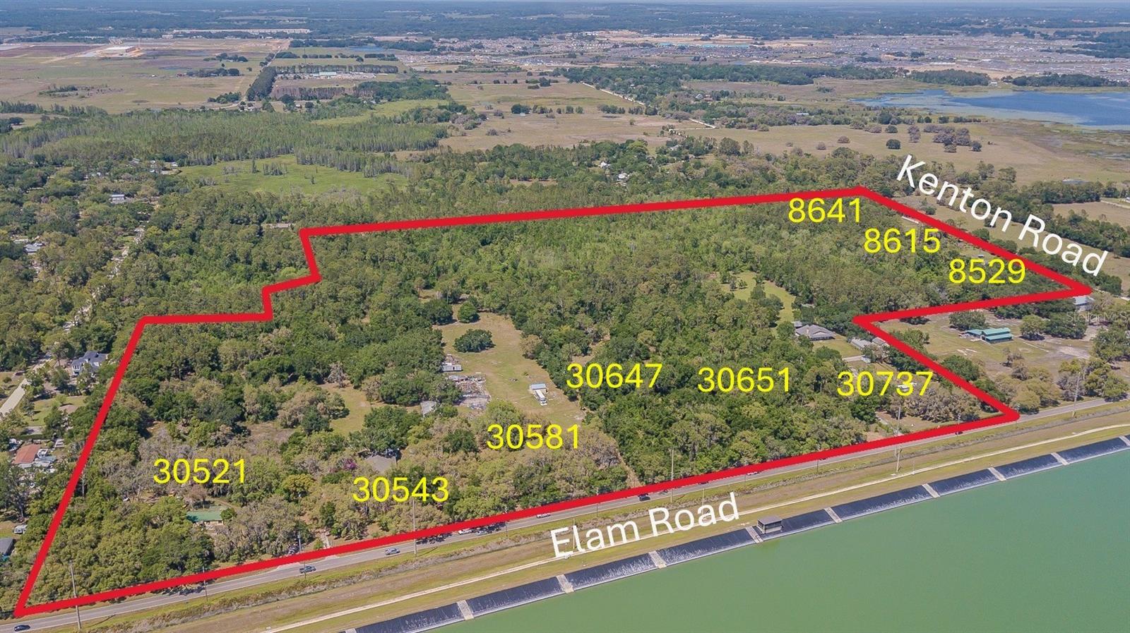 30737 Elam, Wesley Chapel, FL 33545