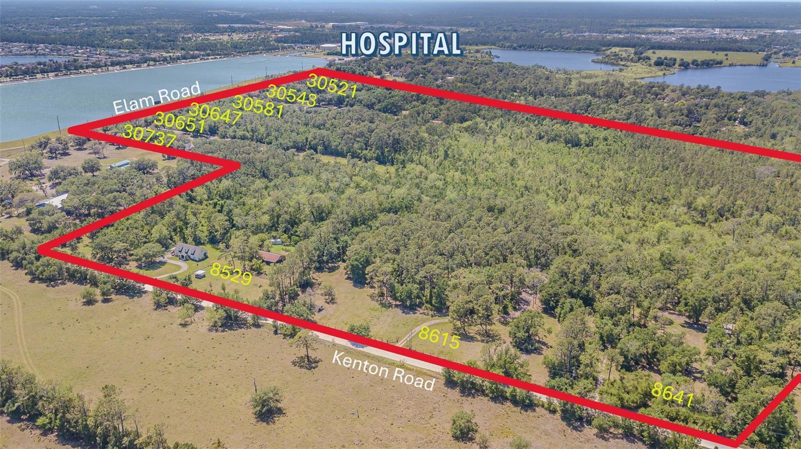 30737 Elam, Wesley Chapel, FL 33545