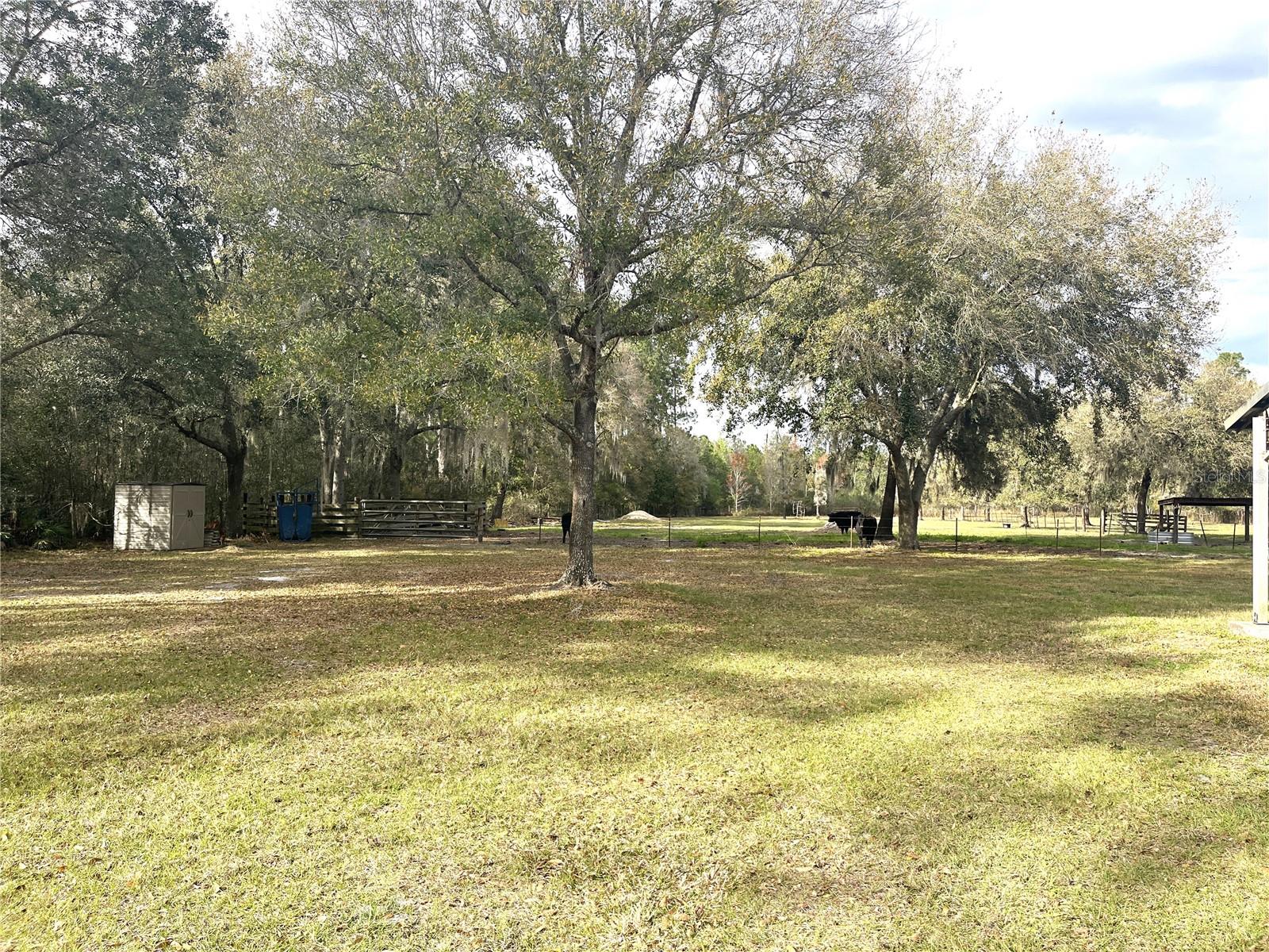 30737 Elam, Wesley Chapel, FL 33545