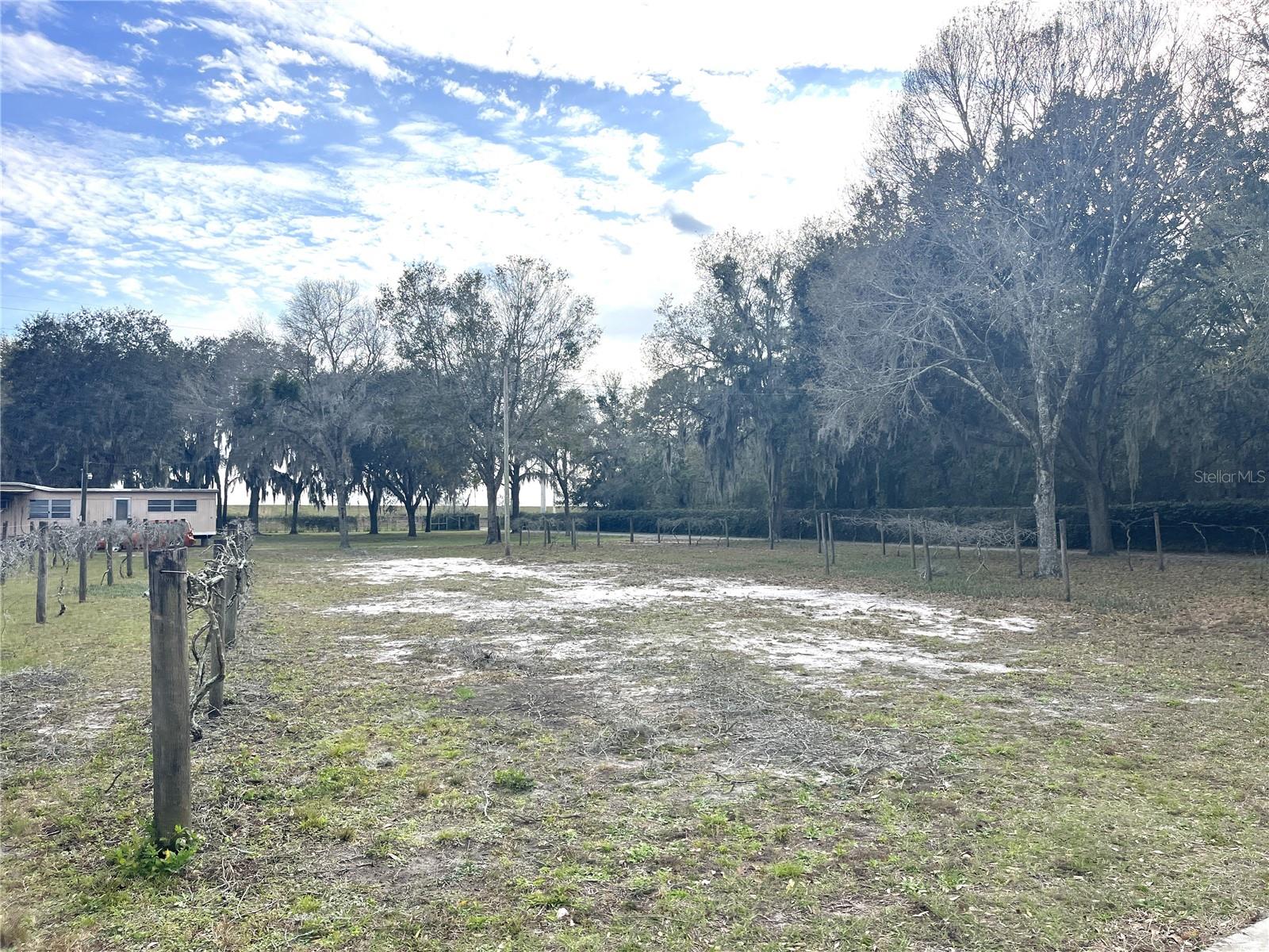 30737 Elam, Wesley Chapel, FL 33545