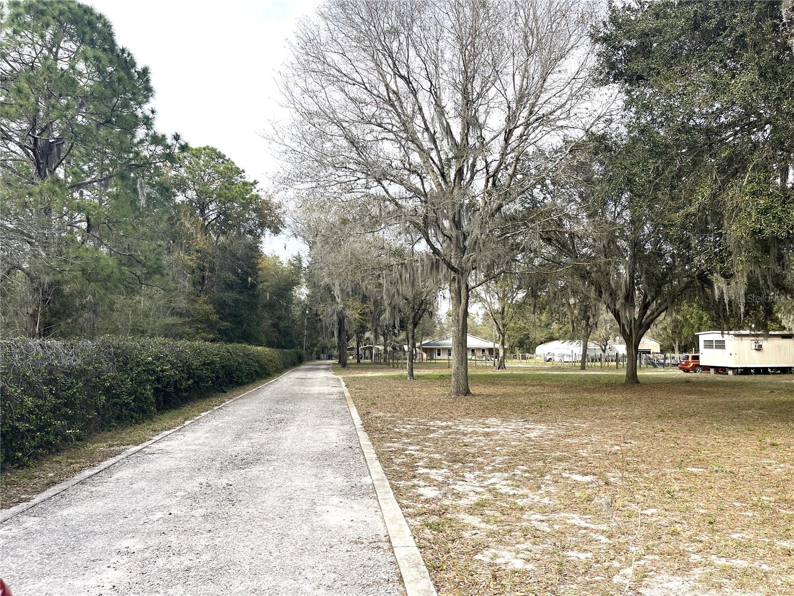 30737 Elam, Wesley Chapel, FL 33545
