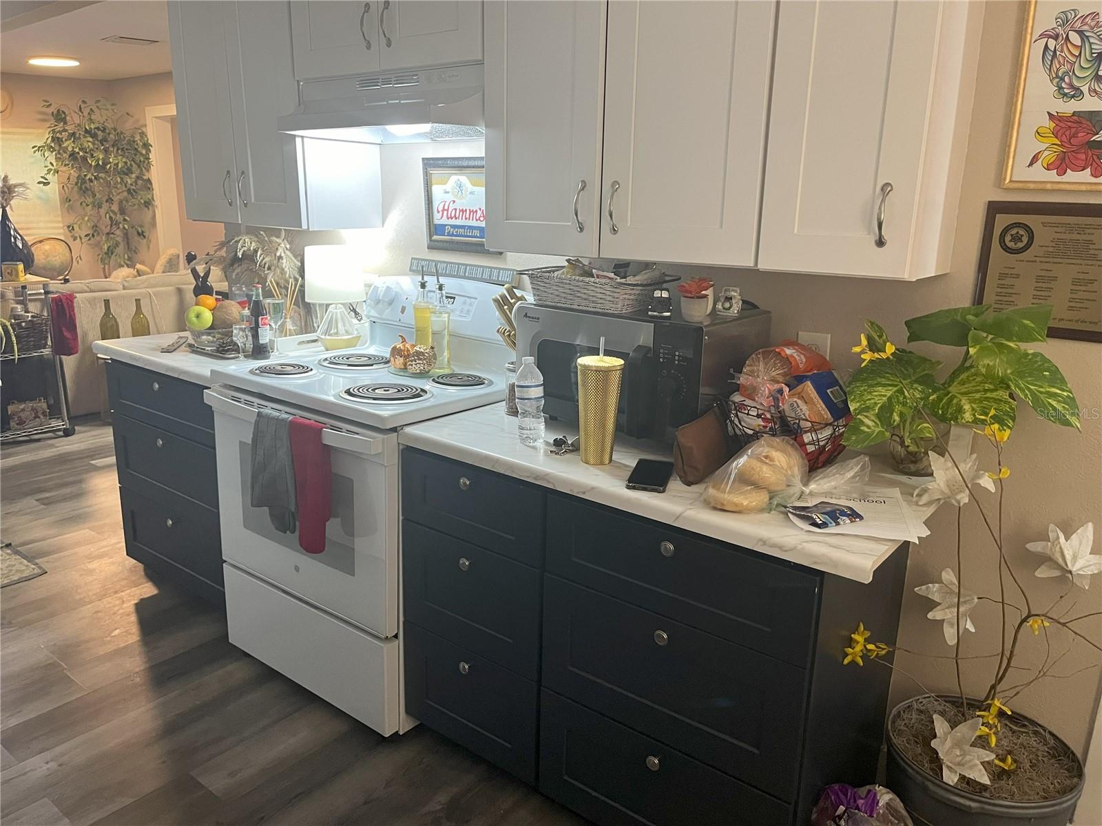 1874 Douglas, Clearwater, FL 33755