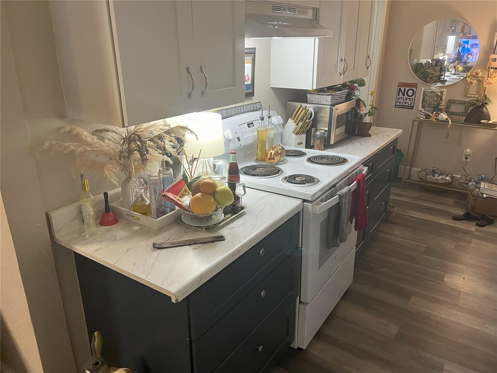 1874 Douglas, Clearwater, FL 33755