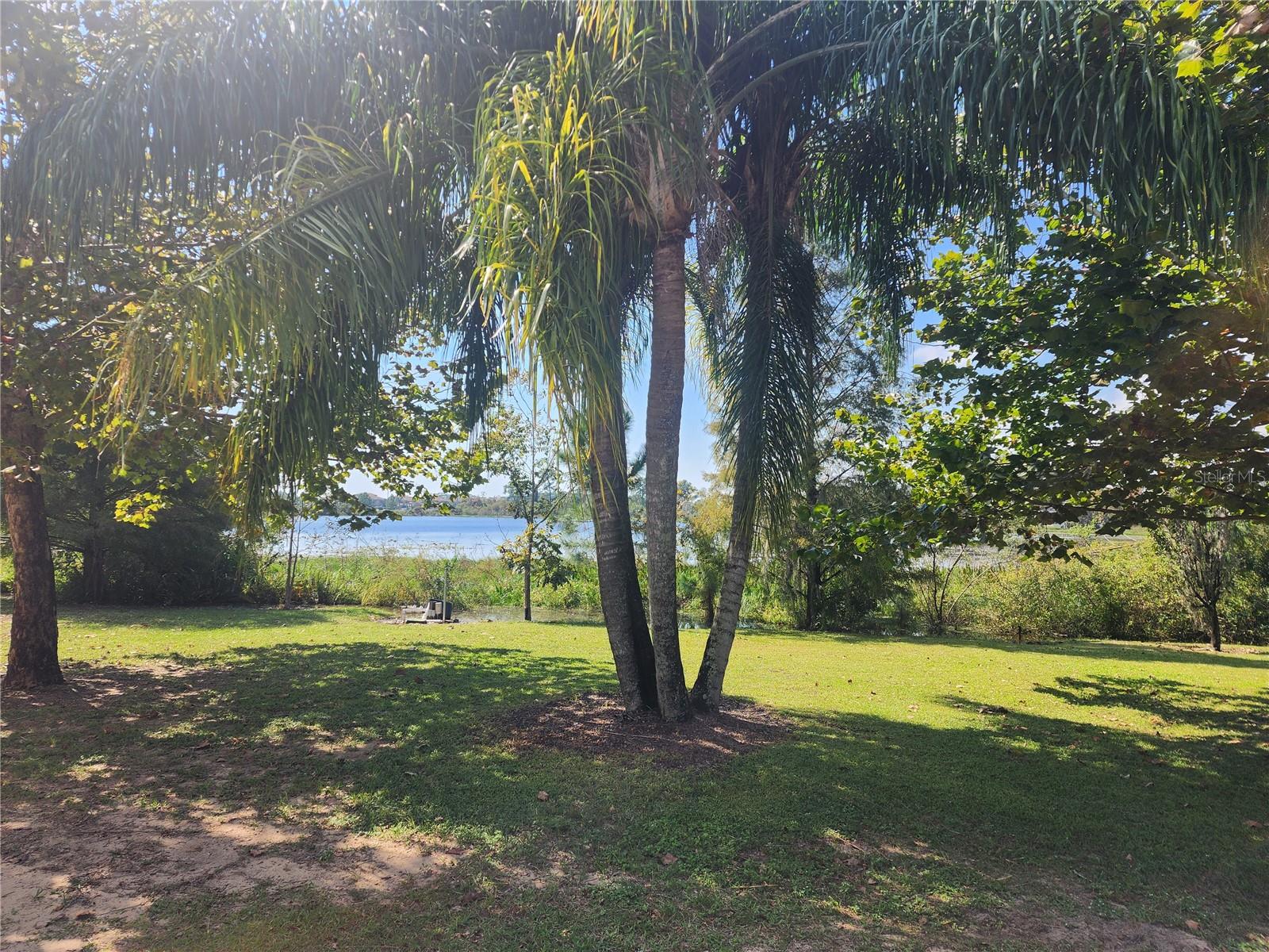 14902 Arrena, Winter Garden, FL 34787