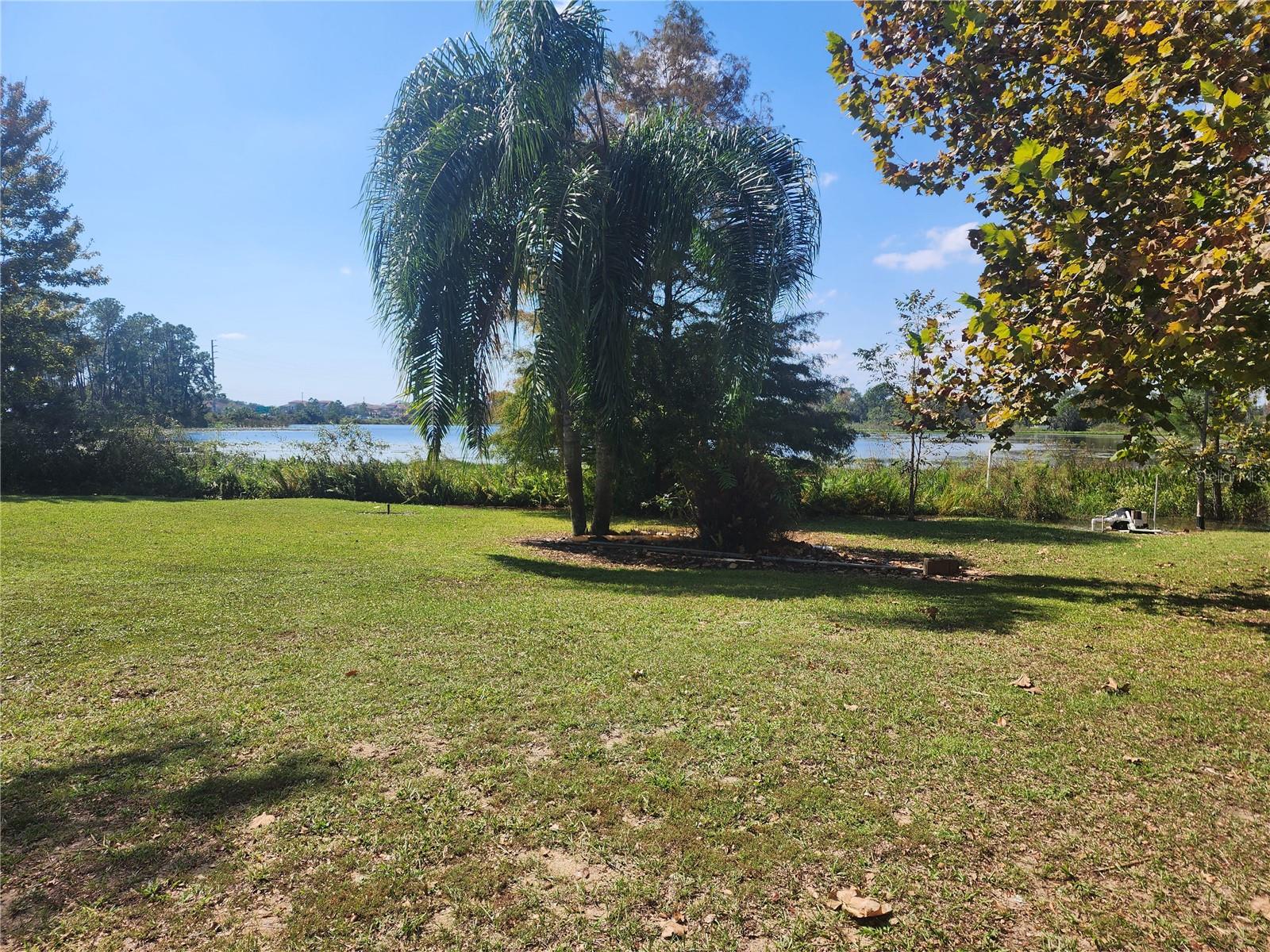 14902 Arrena, Winter Garden, FL 34787