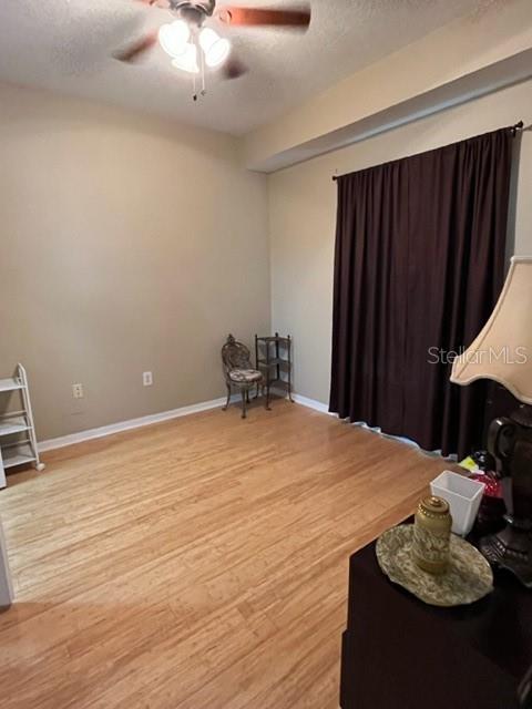 1910 Palm Unit 10303, Tampa, FL 33605
