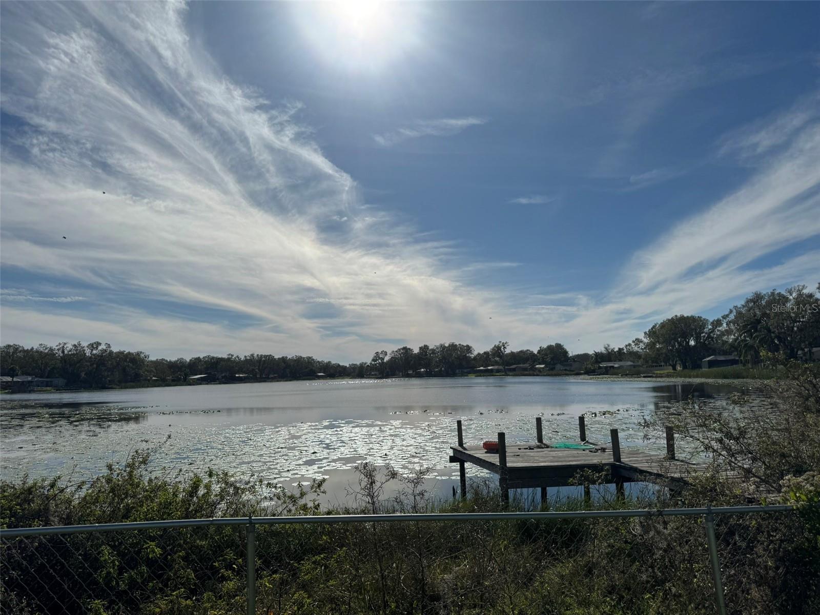3922 Lake Joyce, Land O Lakes, FL 34639