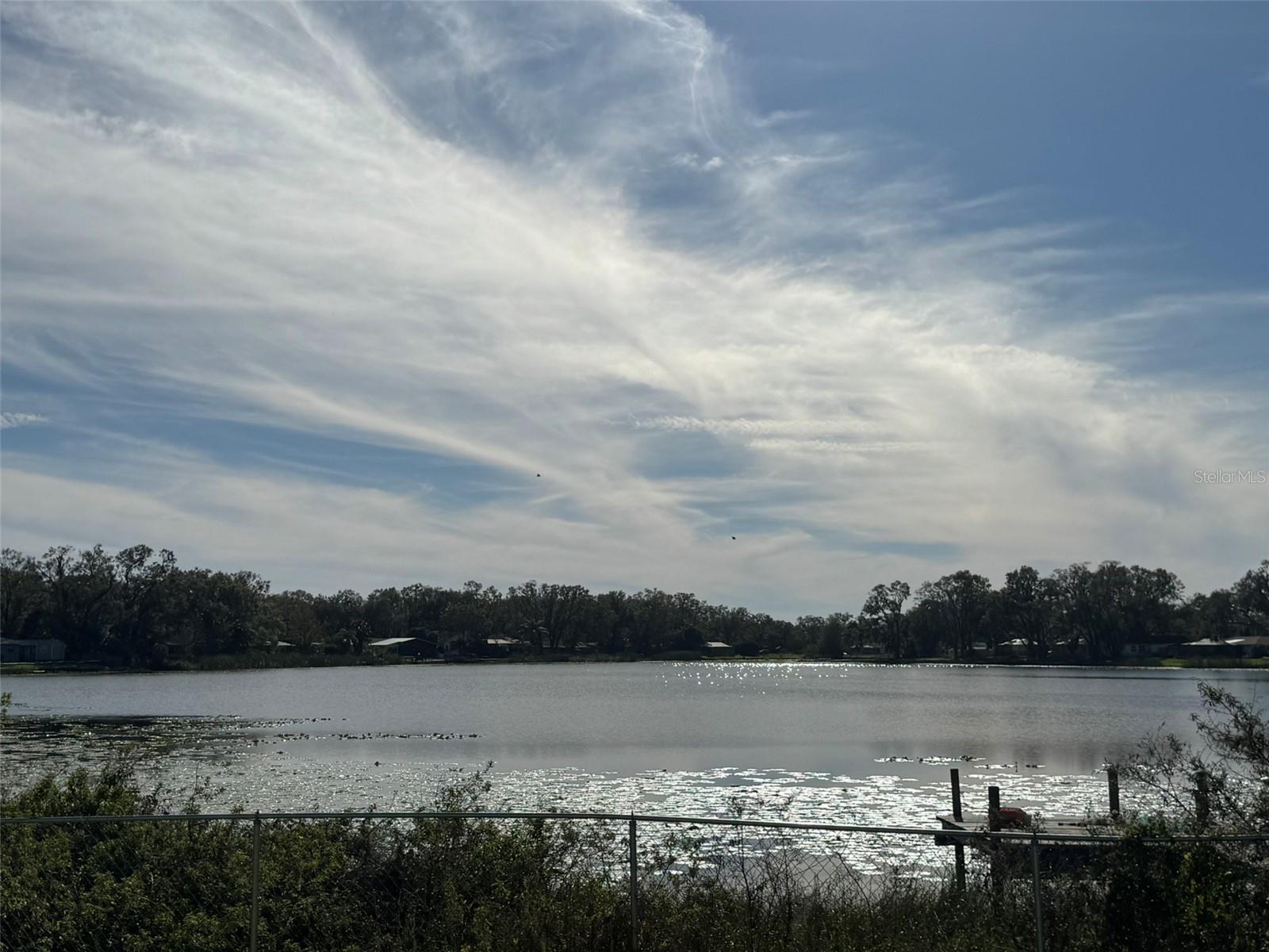 3922 Lake Joyce, Land O Lakes, FL 34639