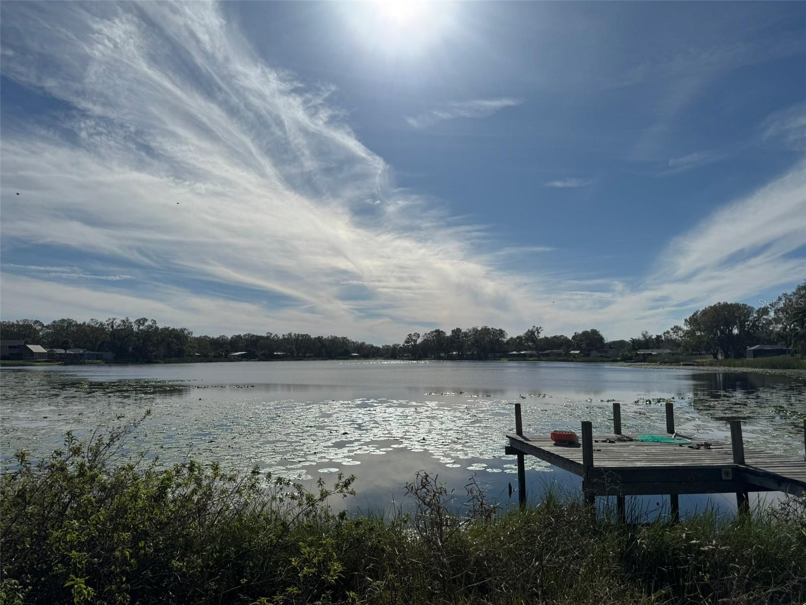 3922 Lake Joyce, Land O Lakes, FL 34639