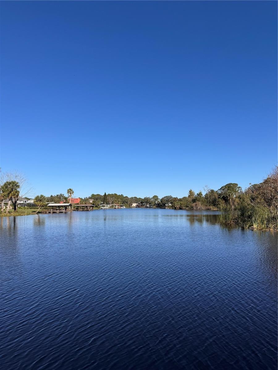 3412 Lake Diane, Tavares, FL 32778