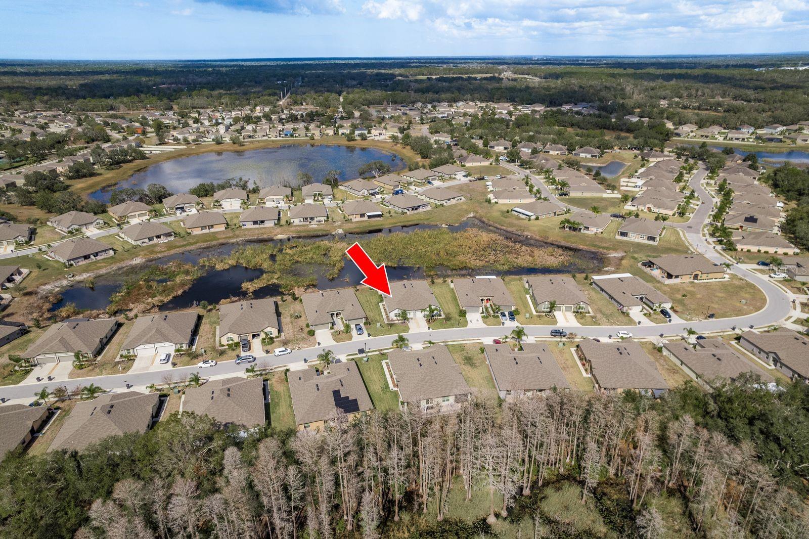 13387 Crest Lake, Hudson, FL 34669