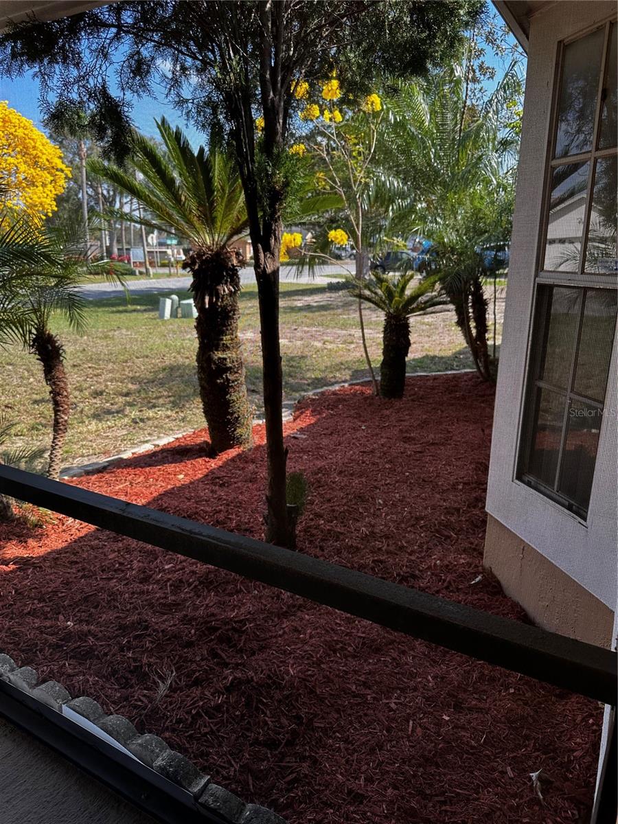 121 Loma Bonita, Davenport, FL 33837