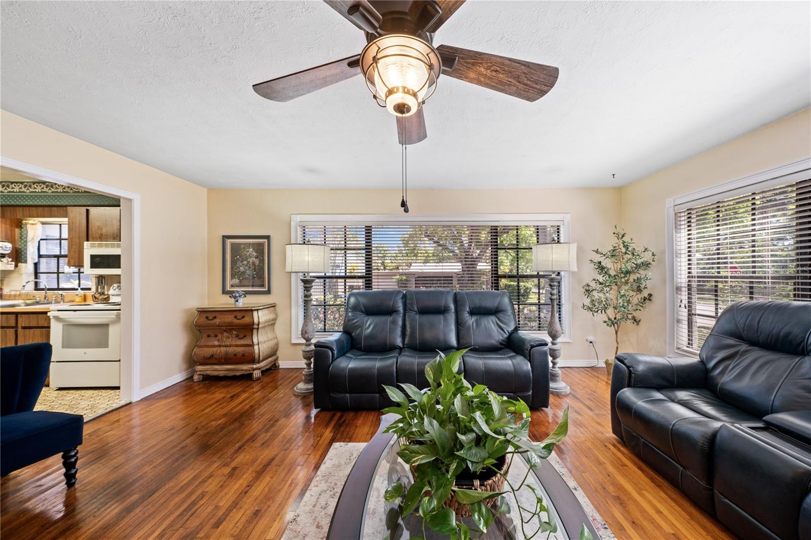 2207 Ohio, Tampa, FL 33607