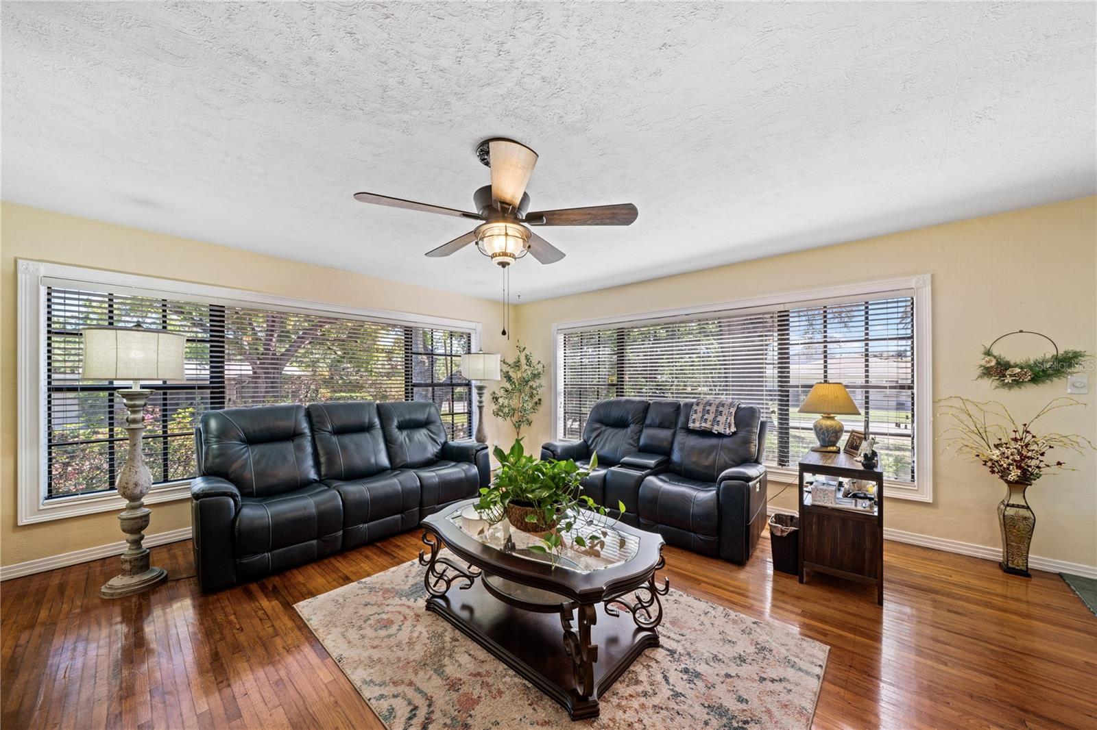 2207 Ohio, Tampa, FL 33607