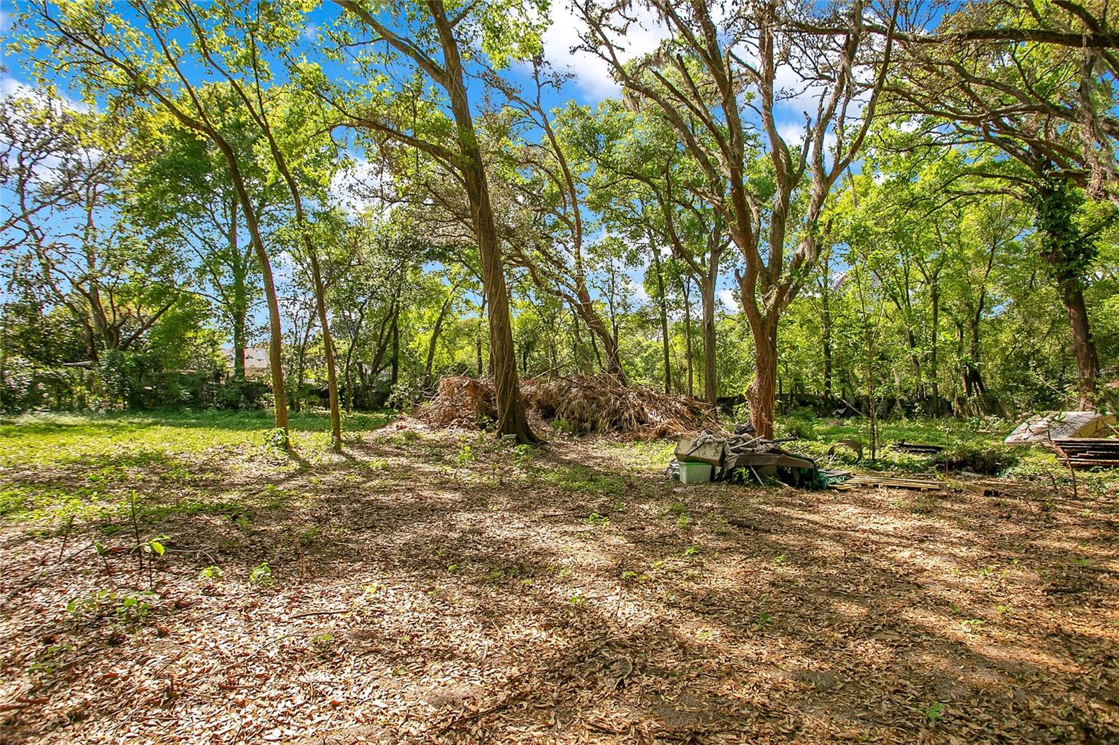 1120 Sheeler, Apopka, FL 32703