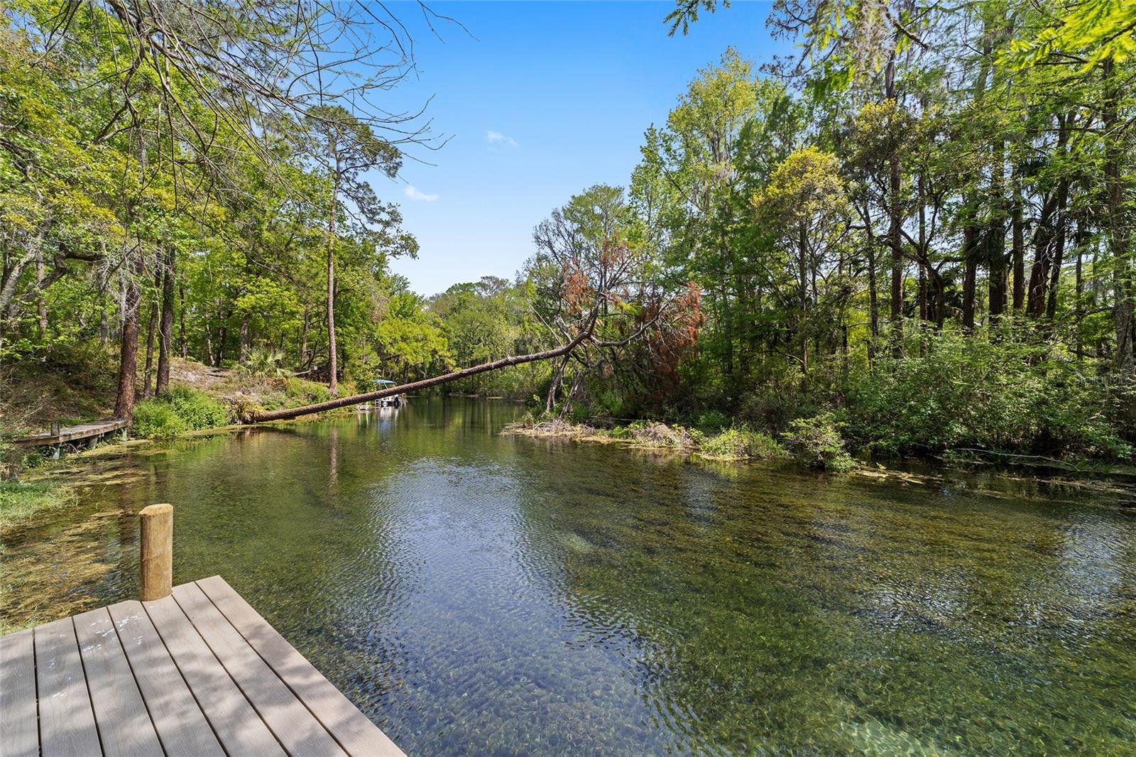 10894 185th, Dunnellon, FL 34432