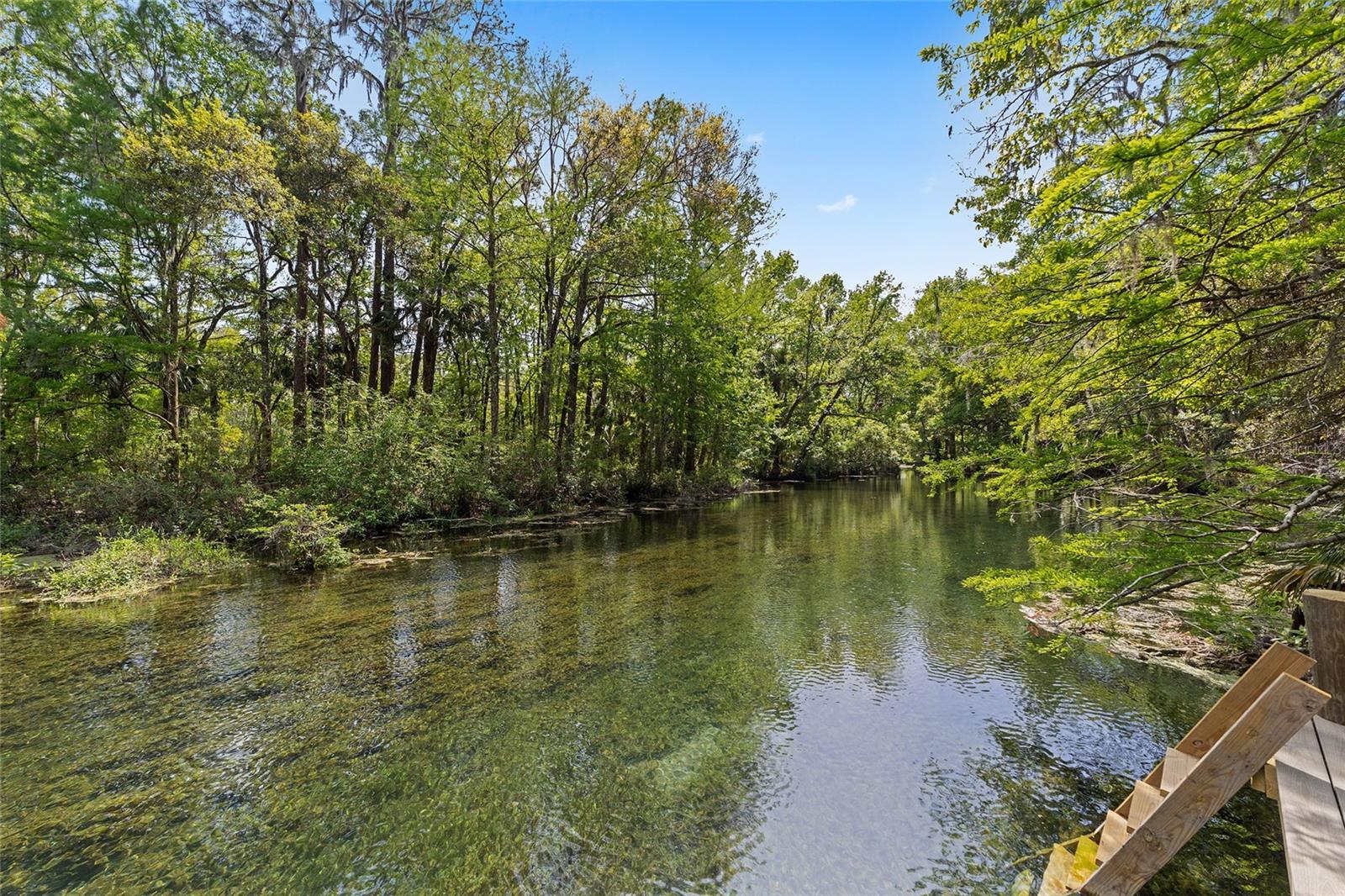 10894 185th, Dunnellon, FL 34432