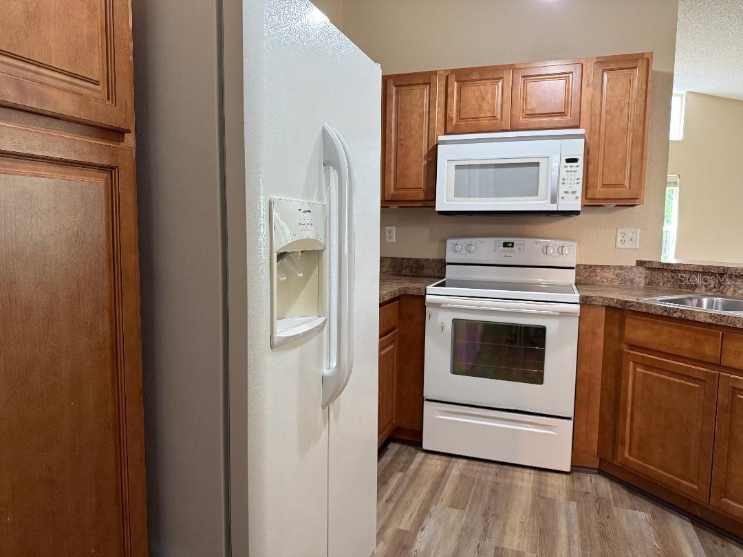 3355 Abeline, Spring Hill, FL 34608