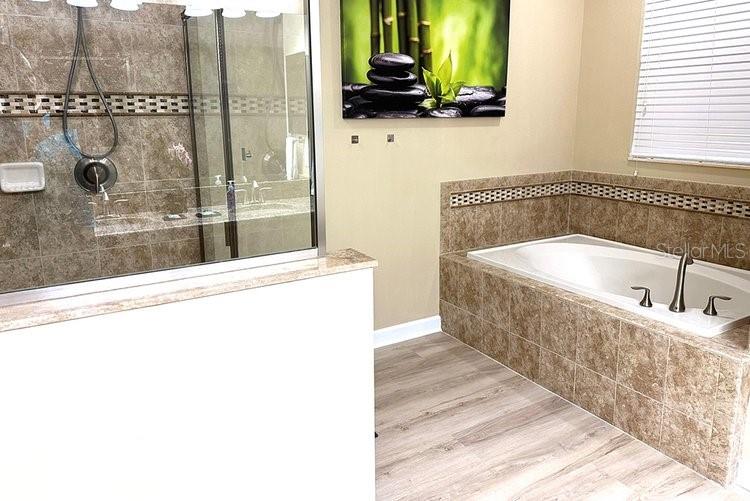1466 Moon Valley Dr, Champions Gate, FL 33896