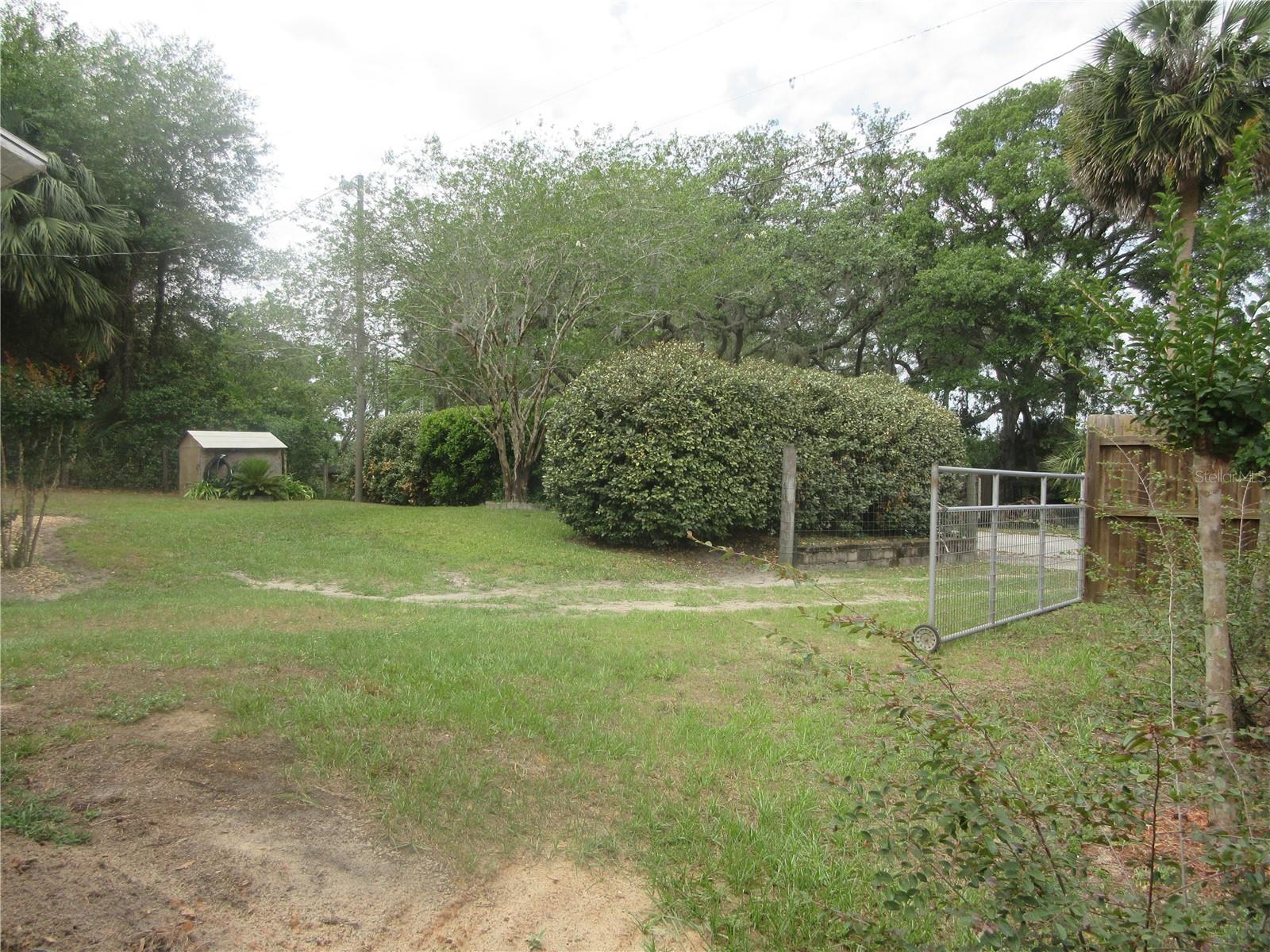5949 164th, Ocklawaha, FL 32179