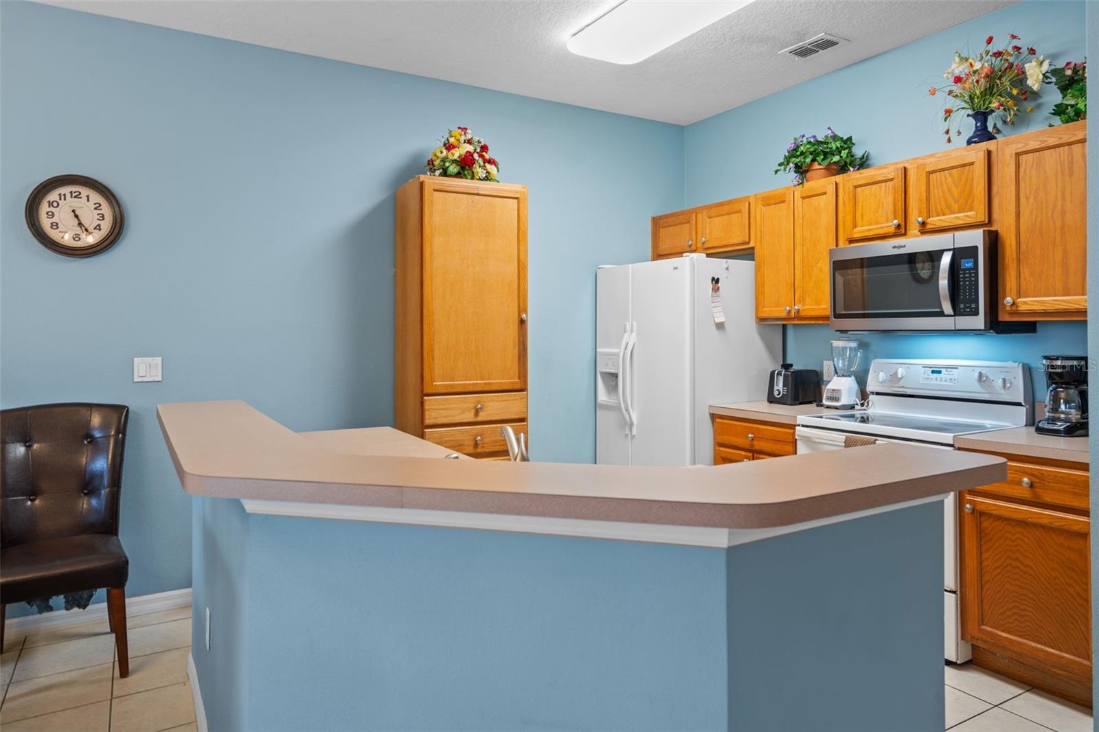 3015 Yellow Lantana, Kissimmee, FL 34747