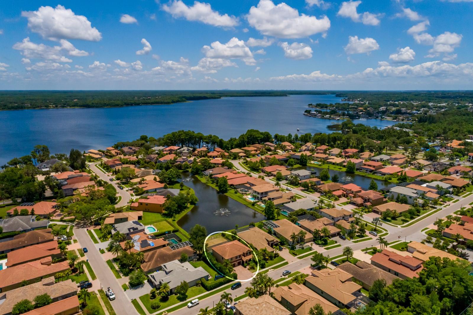 4611 Grand Preserve, Palm Harbor, FL 34684