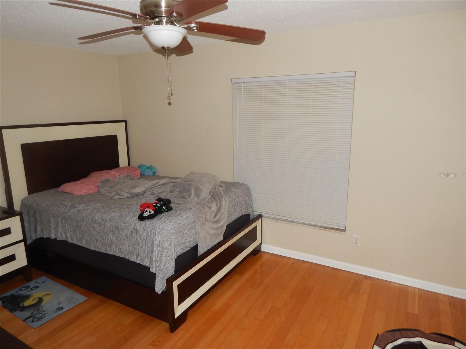 3509 Lisa, Lakeland, FL 33801