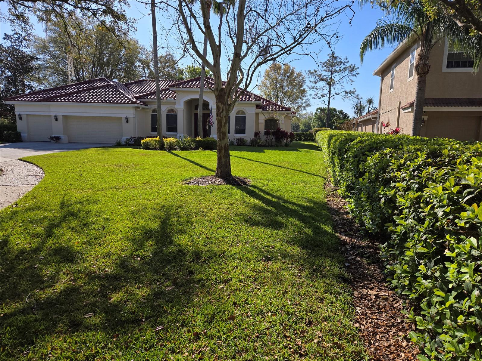 9127 Woodridge Run, Tampa, FL 33647