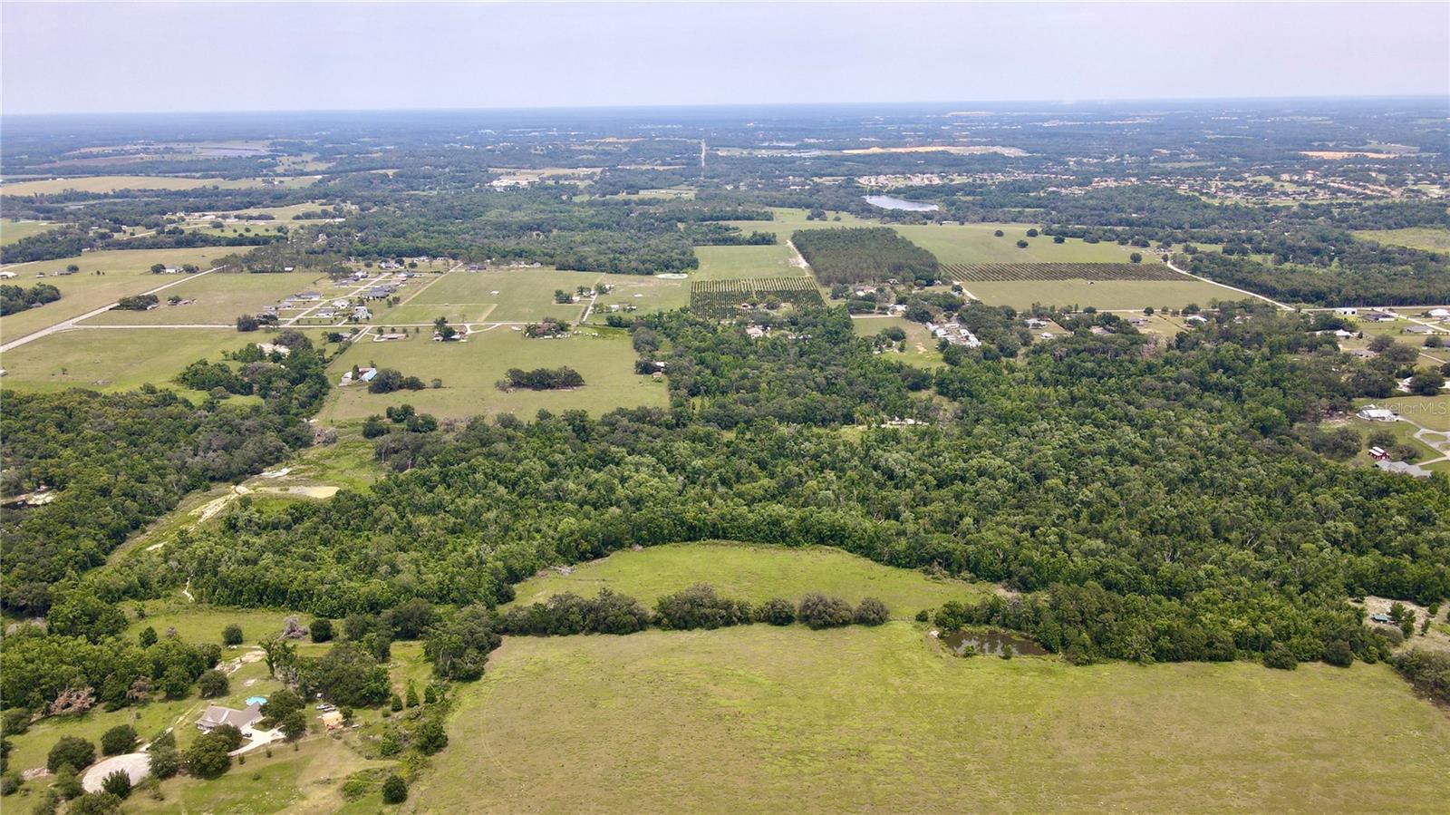14409 Curley, Dade City, FL 33525