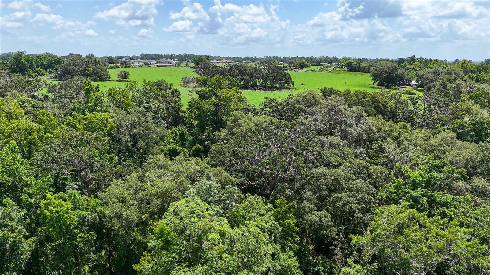 14409 Curley, Dade City, FL 33525