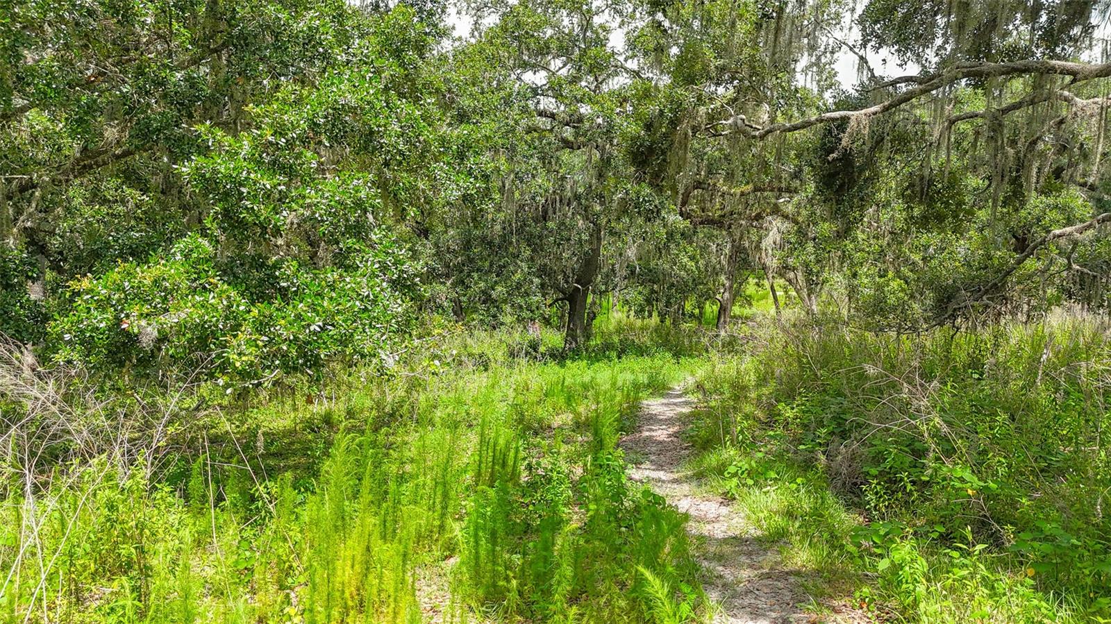 14409 Curley, Dade City, FL 33525