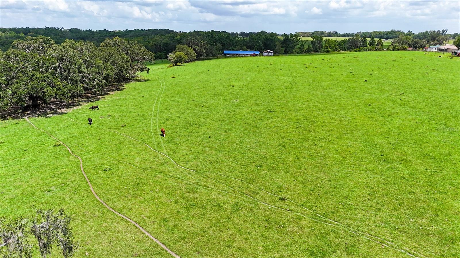 14409 Curley, Dade City, FL 33525