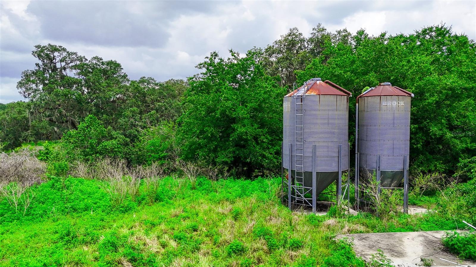 14409 Curley, Dade City, FL 33525