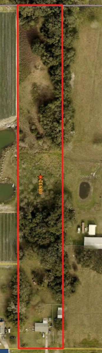 4316 Knights Griffin, Plant City, FL 33565