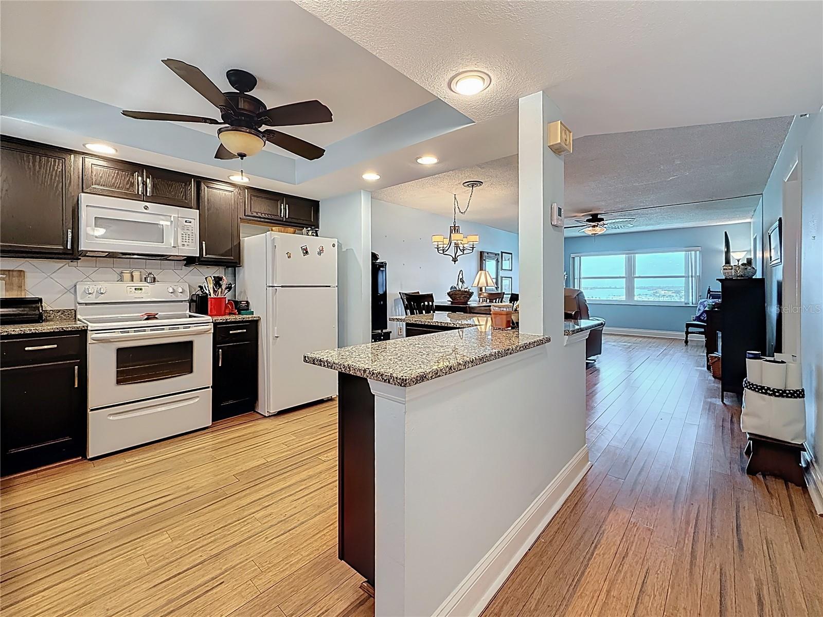 4725 Cove Circle Unit 908, St Petersburg, FL 33708