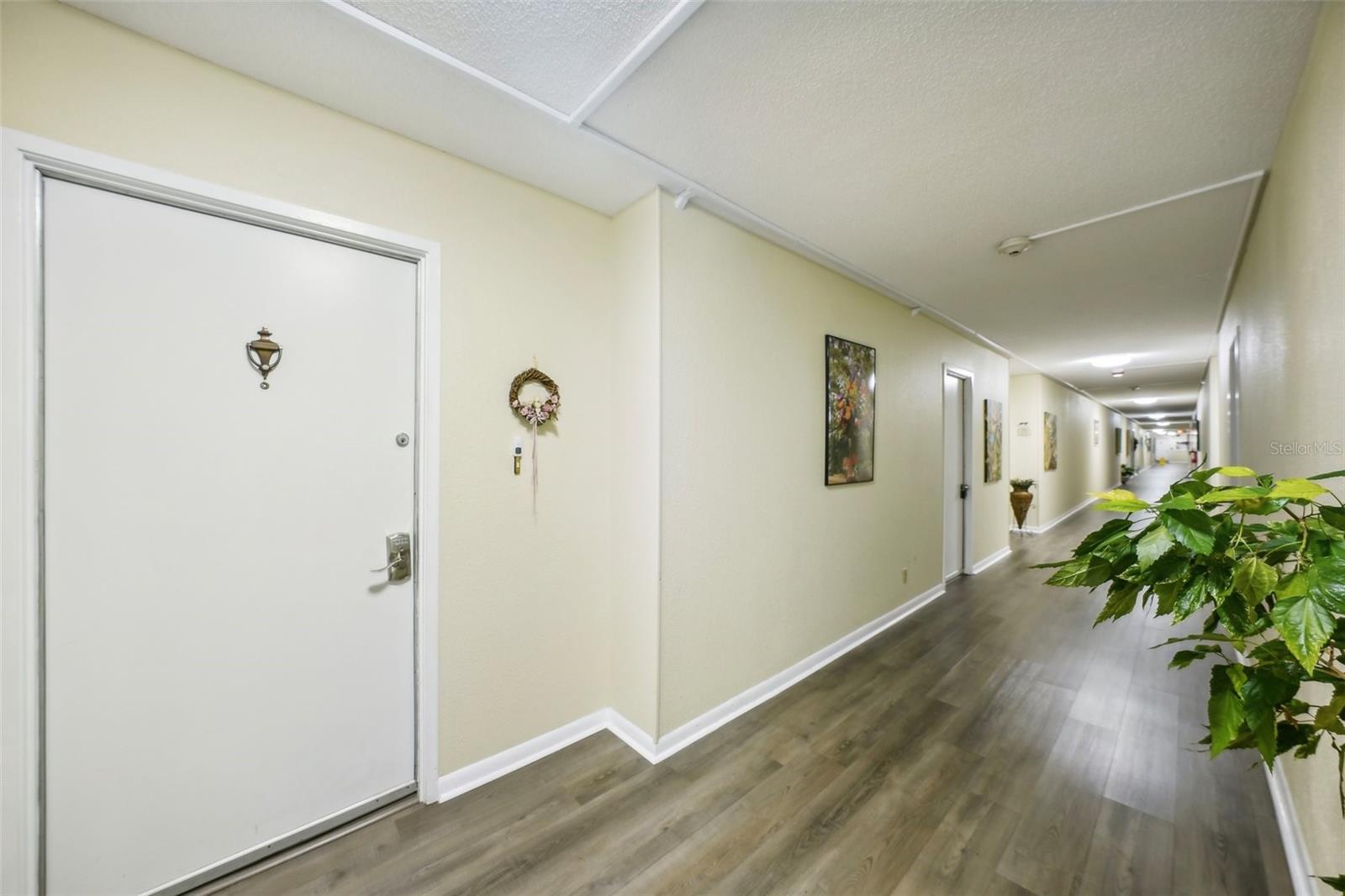 7400 Sun Island Unit 802, South Pasadena, FL 33707